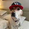Connor Hennessey - @connorhennes - TikTok