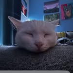 Connor Henning - @conn.or2836 - Instagram