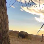 Connor Henning - @connor_henning28 - Instagram