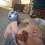 Connor Henning - @connor.gsauce - Instagram