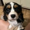 Connor Epler - @connor.epler - TikTok