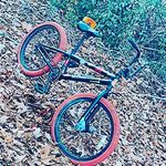 James Hepler - @connor_hepler_70 - Instagram