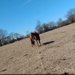 Connor Herman - @cbherman99 - Instagram