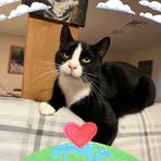 Connor Herr - Facebook