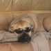 Connor Higgins - Facebook