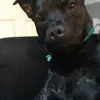 Connor Higgins - @superior.69420 - TikTok
