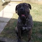 Connor Hill - Facebook