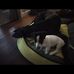 Connor Haller - Facebook