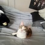 Connor Hilton - Facebook