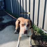 Connor.hilton - @connor.hilton3 - Instagram
