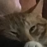 Connor Hinkle - @useless_vids_guy - Instagram