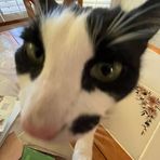 Connor Hixson - Facebook