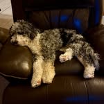 Connor - @connor.holmes70 - Instagram
