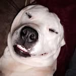 Conner Hobbs - @conner_hobbs_ - Instagram