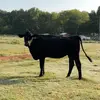 Connor Hobbs - @connorhobbs5 - TikTok