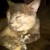 Connor Hodges - @connor.hodges - TikTok
