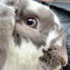 Connor Hodges - @hodges.connor22 - TikTok