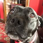 Connor Hodgkinson - @connor_hodgkinson972 - Instagram