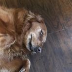 Connor Holder - Facebook