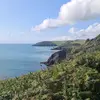 Connor Holder - @connor.holder - TikTok
