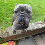 Connor Holman - Facebook