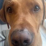 Connor Holman - Facebook