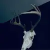 connorholmes968 - @connorholmes968 - TikTok