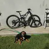 Connor Holt - @connor.holt37 - TikTok