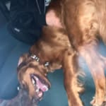 Connor Horan - @cth6511 - Instagram