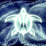 Connor Horn - @mysticturtle315 - Instagram