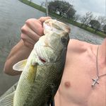 Connor Horne - @con_horne7 - Instagram