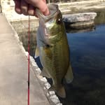 Connor Houston - @ch3.fishing - Instagram