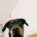 Connor Houston - Facebook
