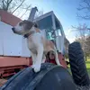 conner howard - @conner.howard69 - TikTok