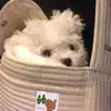 Connor Howe - @connor.howe0 - TikTok