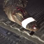 Connor Hudgins - @gator_hunter_21 - Instagram