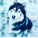 Connor Hudspeth - @chudspeth64 - Instagram