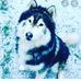 Connor Hudspeth - Facebook
