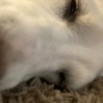 Connor huffman - @huffman_eats_applesauce - Instagram