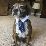 Connor Huggins - @huggijam - Instagram