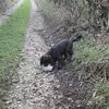 Connor Hunter - @connor.hunter2 - TikTok