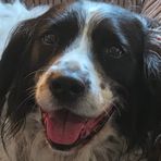 Connor Hunter - Facebook