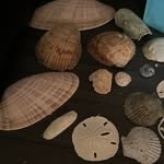 Connor Huntley and Reagan Williams - @_rwu_gulf_shellfish_interns - Instagram