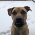 Connor Hurley - Facebook