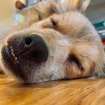 Connor Huston - @huston.0618 - Instagram