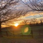 Connor Inman - @photo.phactoryy_ - Instagram