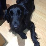 Connor Innes - @connor1412 - Instagram