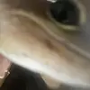 Connor Esham - @connor.esham - TikTok