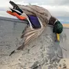 ConnorCooksLikeJacob - @connor4597 - TikTok