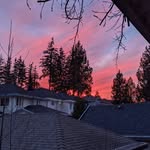 Connor Jansen - @c.jansen.2 - Instagram